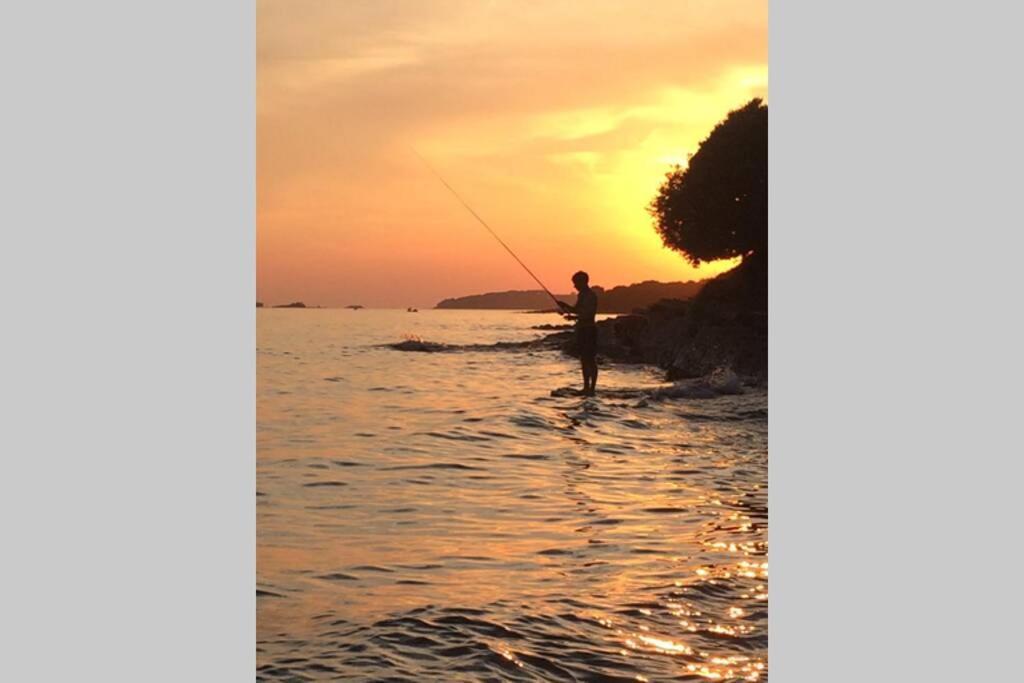 Viva 2 Rovinj Apartment ภายนอก รูปภาพ