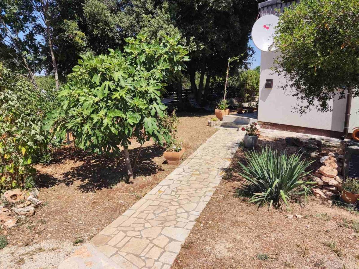 Viva 2 Rovinj Apartment ภายนอก รูปภาพ